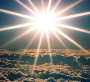 sole